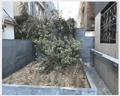  2025Ÿ��501745 ���� ���� ź�浿 1219       �ܵ�����,�����ð��