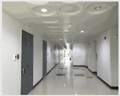  2025Ÿ��501819 ����Ư����ġ�� ���㵿 666 ��������̺���Ƽ2 1�� 4��450ȣ     ��������Ȱ���ð��