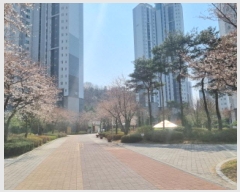  2025Ÿ��502069 ����Ư����ġ�� �Ƹ��� 1282 �����⸶��9���� 908�� 15��1502ȣ     ����Ʈ���