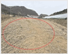  2025Ÿ��502100 ����Ư����ġ�� �屺�� ���ȸ� 485-51       ����(��1)���