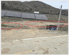  2025Ÿ��502100 ����Ư����ġ�� �屺�� ���ȸ� 485-51       ����(��1)���