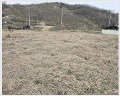  2025Ÿ��502100 ����Ư����ġ�� �屺�� ���ȸ� 485-51       ����(��1)���