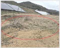  2025Ÿ��502100 ����Ư����ġ�� �屺�� ���ȸ� 485-51       ����(��1)���