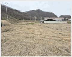  2025Ÿ��502100 ����Ư����ġ�� �屺�� ���ȸ� 485-51       ����(��1)���