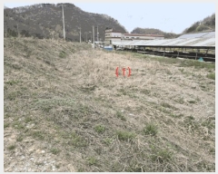  2025Ÿ��502100 ����Ư����ġ�� �屺�� ���ȸ� 485-51       ����(��1)���