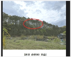  2025Ÿ��502158 ����Ư����ġ��  �屺�� �뱳�� 293 �ְ��๰��1��     ��,�繫�ǰ��