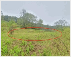  2025Ÿ��502185 �泲 �ݻ걺 ������ ���縮 664      ����(��)���