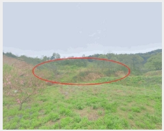  2025Ÿ��502185 �泲 �ݻ걺 ������ ���縮 664      ����(��)���