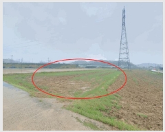  2025Ÿ��502185 �泲 �ݻ걺 ������ ���縮 664      ����(��)���