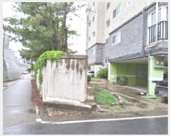  2025Ÿ��502223 ���� �߱� ������ 181-1       ����(����)���