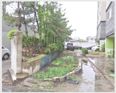  2025Ÿ��502223 ���� �߱� ������ 181-1       ����(����)���