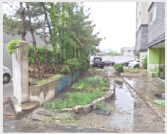  2025Ÿ��502223 ���� �߱� ������ 181-1       ����(����)���