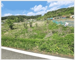  2025Ÿ��502279 ����Ư����ġ�� �ݳ��� ��ġ�� 98       ����(��)���