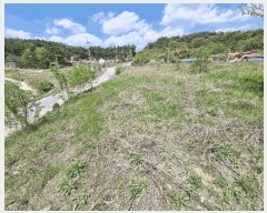  2025Ÿ��502279 ����Ư����ġ�� �ݳ��� ��ġ�� 98       ����(��)���