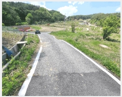  2025Ÿ��502279 ����Ư����ġ�� �ݳ��� ��ġ�� 98       ����(��)���