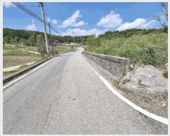  2025Ÿ��502279 ����Ư����ġ�� �ݳ��� ��ġ�� 98       ����(��)���