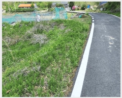  2025Ÿ��502279 ����Ư����ġ�� �ݳ��� ��ġ�� 98       ����(��)���