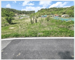  2025Ÿ��502279 ����Ư����ġ�� �ݳ��� ��ġ�� 98       ����(��)���