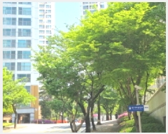  2025Ÿ��502289 ���� ������ �ϱ⵿ 513 �۸���������Ʈ3���� 306�� 17��1702ȣ    ����Ʈ���