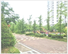  2025Ÿ��502337  ����Ʈ���