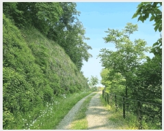  2025Ÿ��502514 ���� ���� ������ ��40-1       ����(�Ӿ�)���