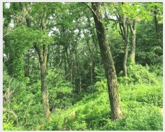  2025Ÿ��502514 ���� ���� ������ ��40-1       ����(�Ӿ�)���