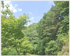  2025Ÿ��502514 ���� ���� ������ ��40-1       ����(�Ӿ�)���