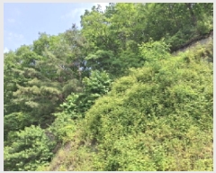  2025Ÿ��502514 ���� ���� ������ ��40-1       ����(�Ӿ�)���