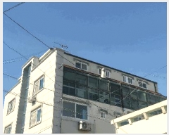  2025Ÿ310   62 39, 5 501ȣ     ټ,