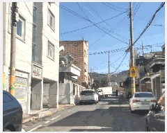  2025Ÿ310   62 39, 5 501ȣ     ټ,