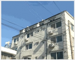  2025Ÿ310   62 39, 5 501ȣ     ټ,