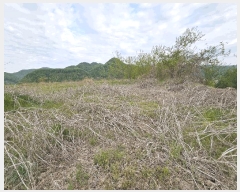  2025Ÿ2859 泲 ݻ걺  渮 255-5      (Ӿ)