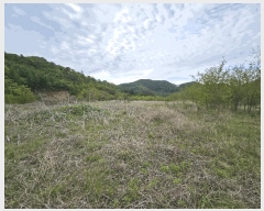  2025Ÿ2859 泲 ݻ걺  渮 255-5      (Ӿ)