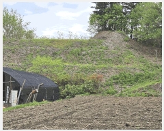  2025Ÿ2859 泲 ݻ걺  渮 255-5      (Ӿ)