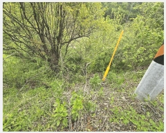  2025Ÿ2859 泲 ݻ걺  渮 255-5      (Ӿ)