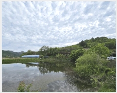  2025Ÿ2859 泲 ݻ걺  渮 255-5      (Ӿ)