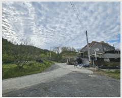  2025Ÿ2859 泲 ݻ걺  渮 255-5      (Ӿ)