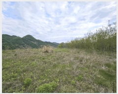  2025Ÿ2859 泲 ݻ걺  渮 255-5      (Ӿ)