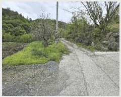  2025Ÿ2859 泲 ݻ걺  渮 255-5      (Ӿ)