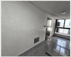  2025Ÿ2972   ε 77-6 Ÿ 111102ȣ     Ʈ