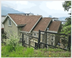  2025Ÿ��3514  ���ð��