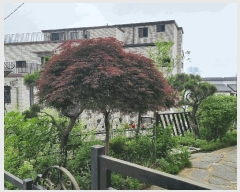  2025Ÿ��3514  ���ð��