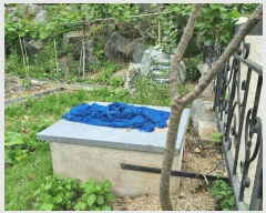  2025Ÿ��3514  ���ð��