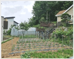  2025Ÿ��3514  ���ð��