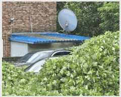  2025Ÿ��3663 ���� ���� �̻絿 1-47       ���ð��