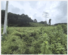  2025Ÿ��3829 ����Ư����ġ�� ������ ������ 282       ����(��1)���