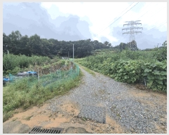  2025Ÿ��3829 ����Ư����ġ�� ������ ������ 282       ����(��1)���