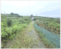  2025Ÿ��3829 ����Ư����ġ�� ������ ������ 282       ����(��1)���