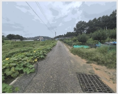  2025Ÿ��3829 ����Ư����ġ�� ������ ������ 282       ����(��1)���