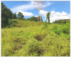  2025Ÿ��3829 ����Ư����ġ�� ������ ������ 282       ����(��1)���